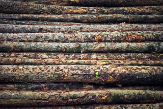 Illustration for article titled That the Homeowner may be helped by Hiring a strong Knowledgeable Hardwood Program